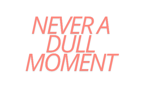 Never a dull moment 1